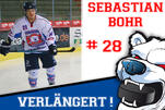 Eisbären weiter mit Sebastian Bohr