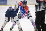 Eisbären wollen nachlegen