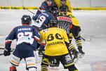 Eisbären reisen zum Derby