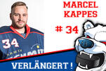 Kappes bleibt ein Eisbär