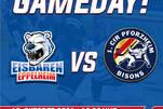 RL: Eisbären empfangen Bisons