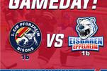 LL: Eisbären reisen nach Pforzheim