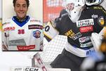Eisbären bekommen weiteren Zuwachs